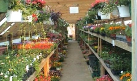 garden center